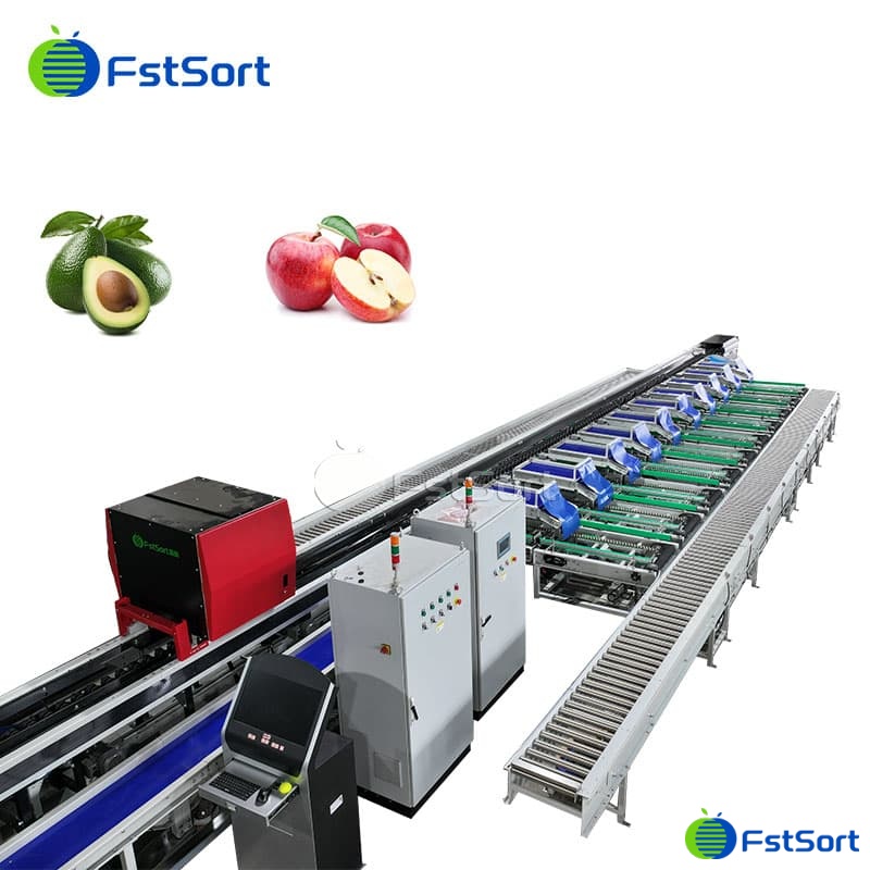 images/1772073683828apple optical sorting packing machine.jpg